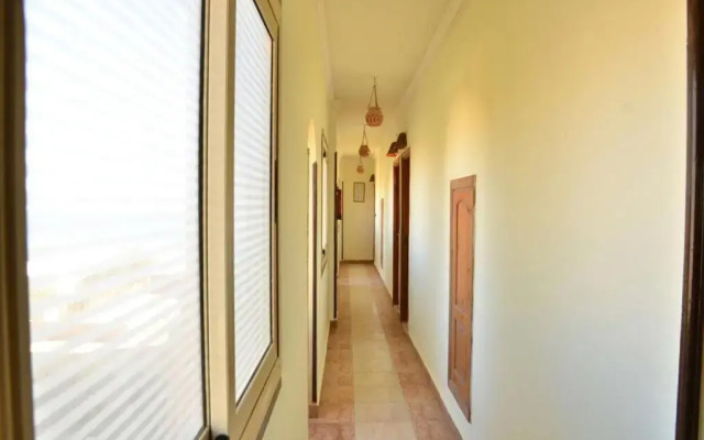 Dolphin Hotel Safaga