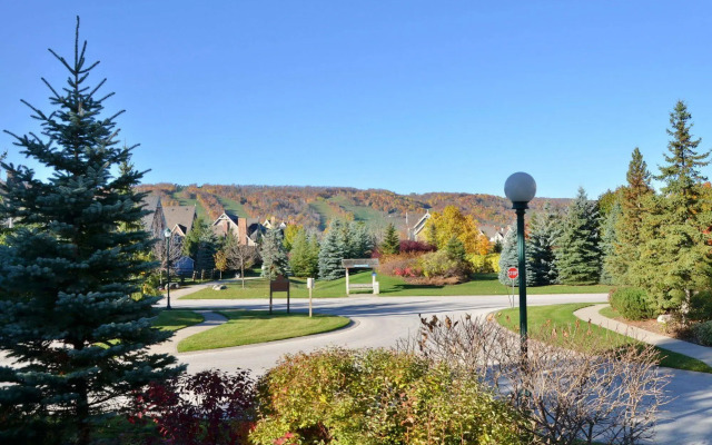 The Lodges at Blue Mountain - Historic Snowbridge Condos