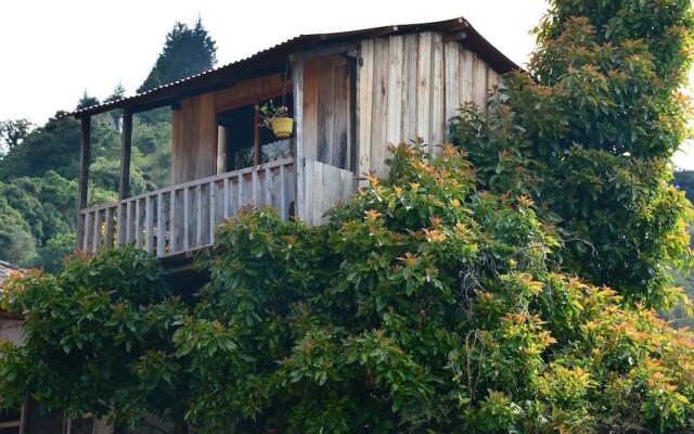 Hosteria las Orquideas Restaurant