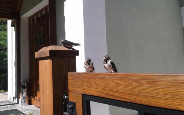 Mazurska Leśniczówka Nowy Zyzdrój