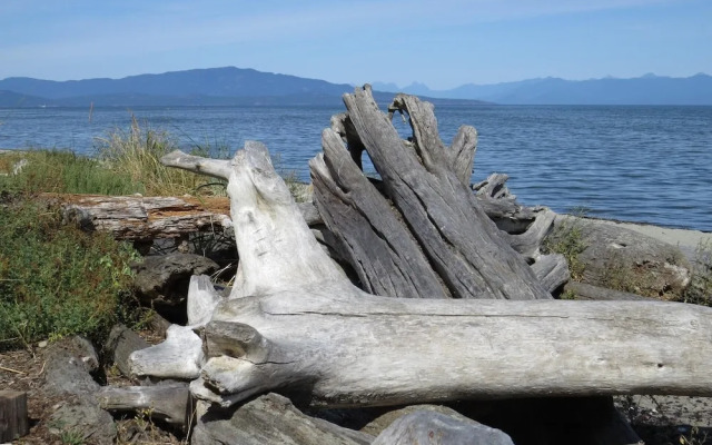 Tanglewood Beach Homes