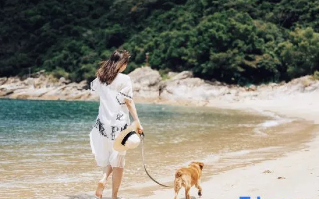 SeeSea｜ Vintage Garden Oceanfront Boutique Hotel