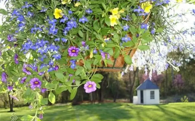 Chestnut Hill Bed and Breakfast
