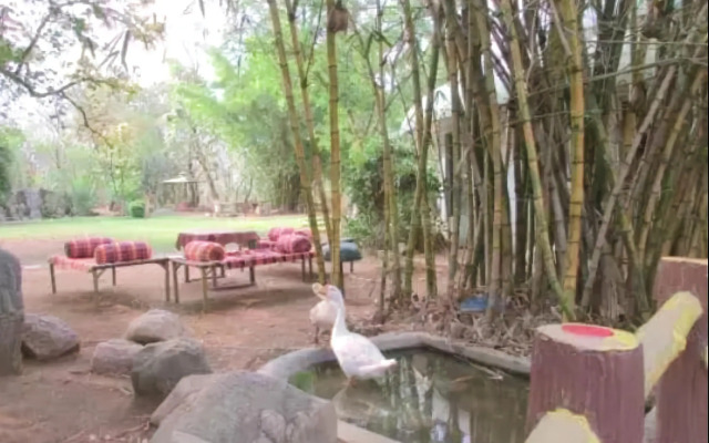 Treebo Premium Mowgli's Den, Pench