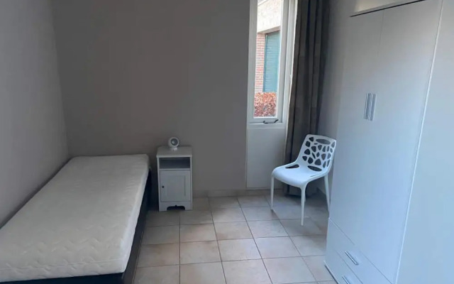 HVZ Narcis 10p in Heinkenszand