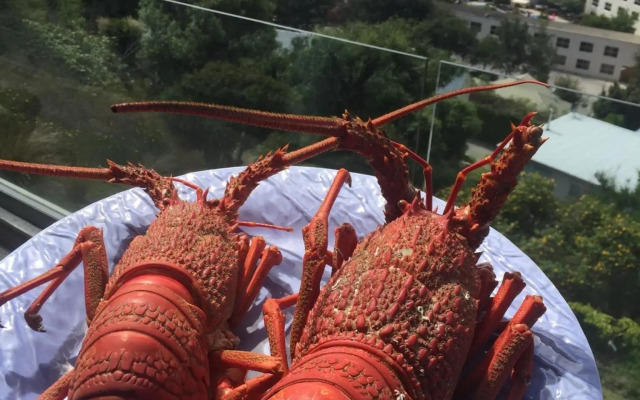 Queenstown Lake Panorama