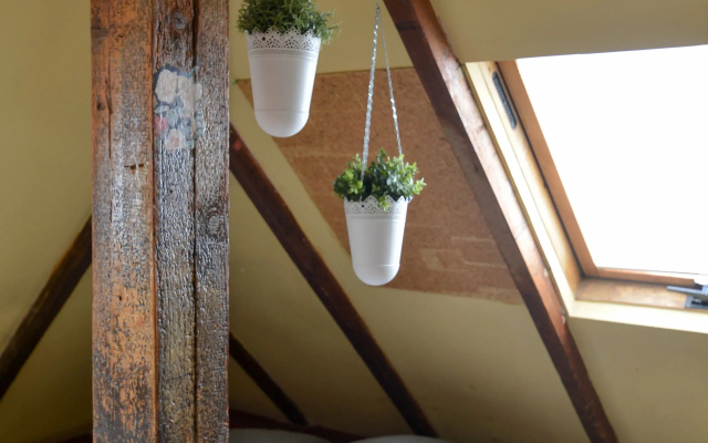 Roger's House Tel Aviv Hostel