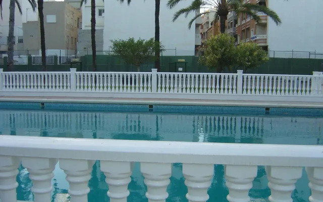 Palmeral de Torrevieja