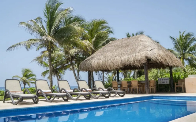 Homing Bird Apartments