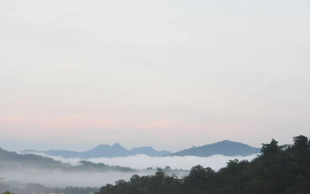 Puli Tenlai