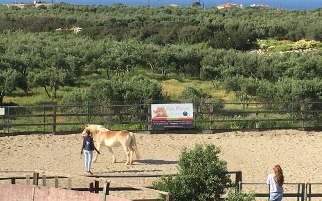 Arion Stables & Apartments
