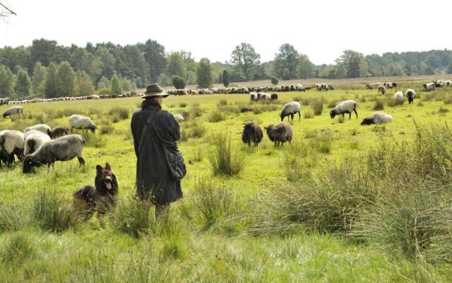 Ferienhof Cohrs