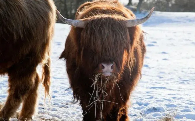 Richmond House Hotel