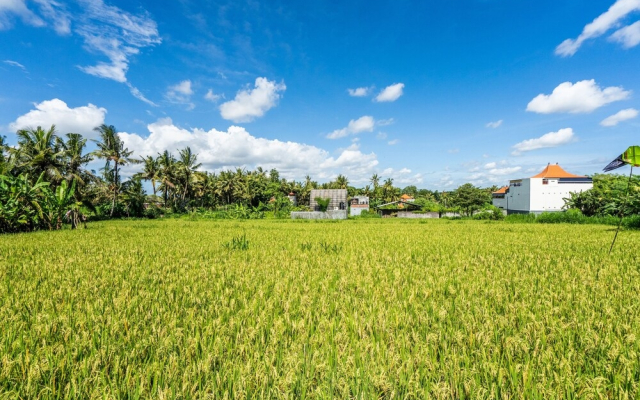 Kutus Kutus Saba Beach Villas
