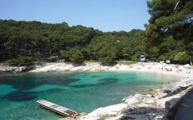 Orhideja 2