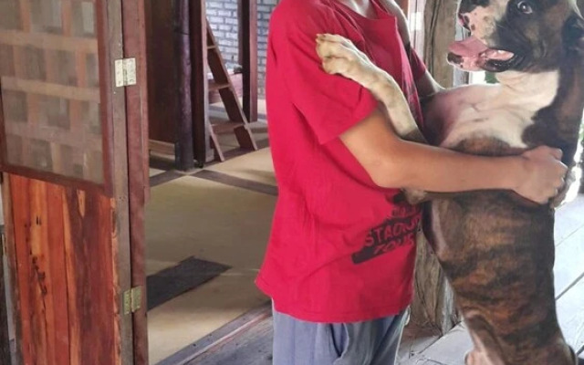 Casa de los Micos Leticia