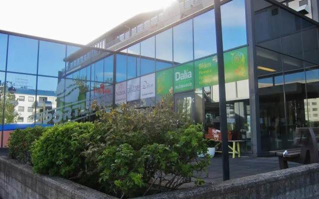 Sport Hostel Reykjavík