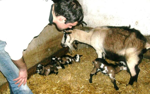 Biobauernhof Unterhub