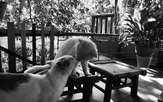 Homestay Bui Ty Ha Giang