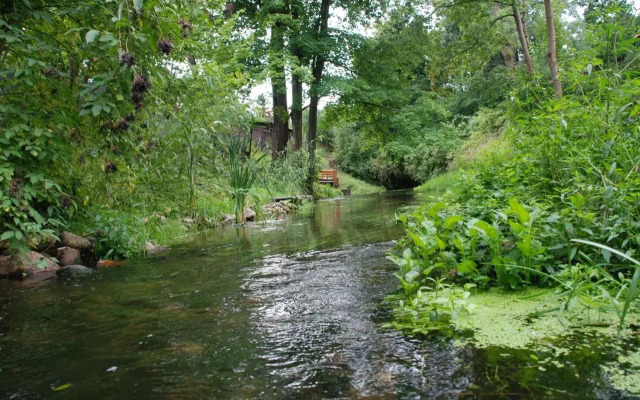 Pod kogutkiem