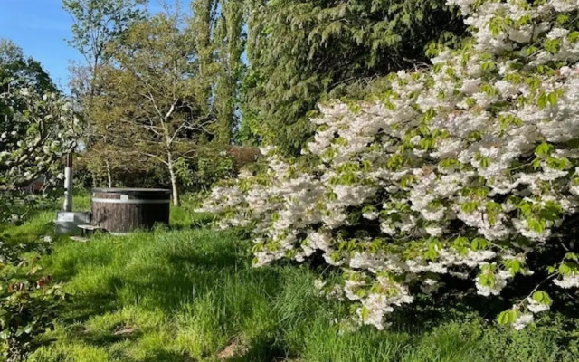 Tranquil Luxury Glamping Escape in Ross-on-wye 8