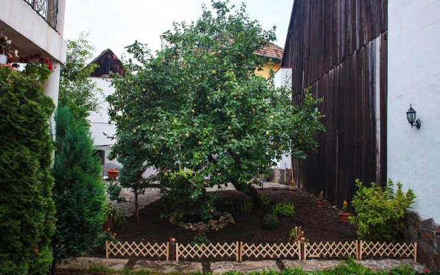 Villa Cristiani