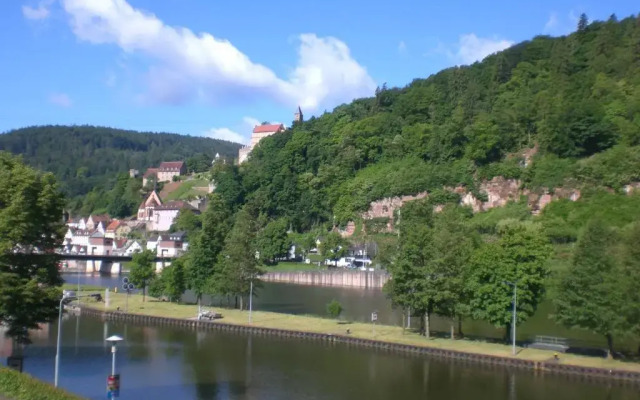 Romantisches Hirschhorn am Neckar