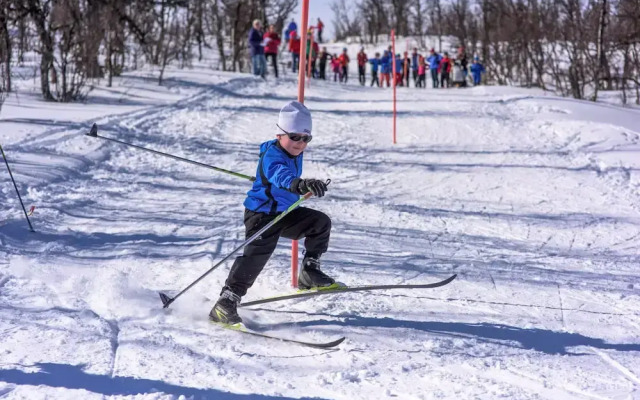 Torsetlia Fjellstue og Hyttegrend