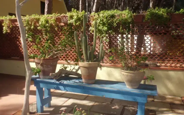Suite Della Yucca