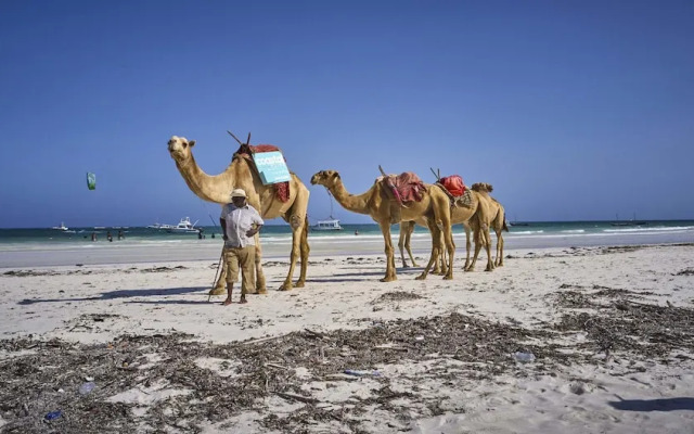 Papillon Lagoon Reef