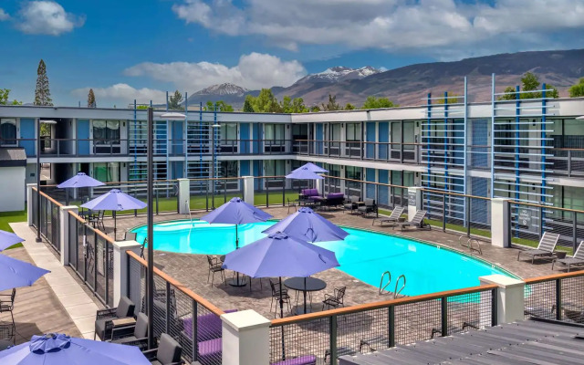 Super 8 by Wyndham Meadow Wood Courtyard