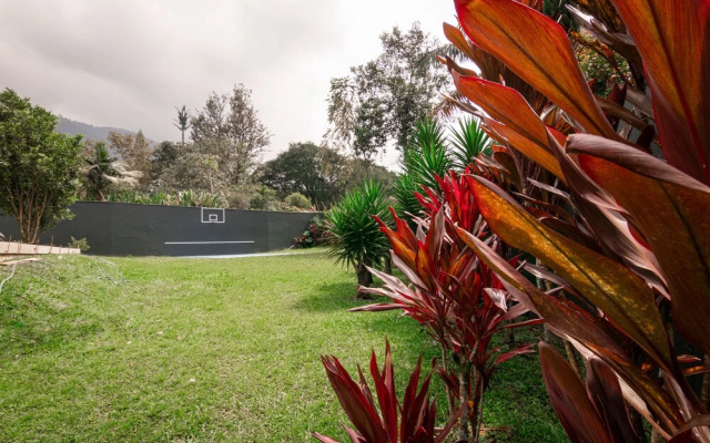 La Oculta Luxe Mansion Pool & Jacuzzi