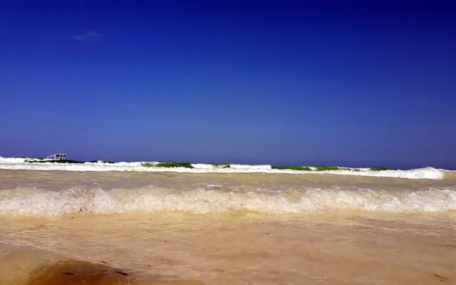 Jamboland-Diani