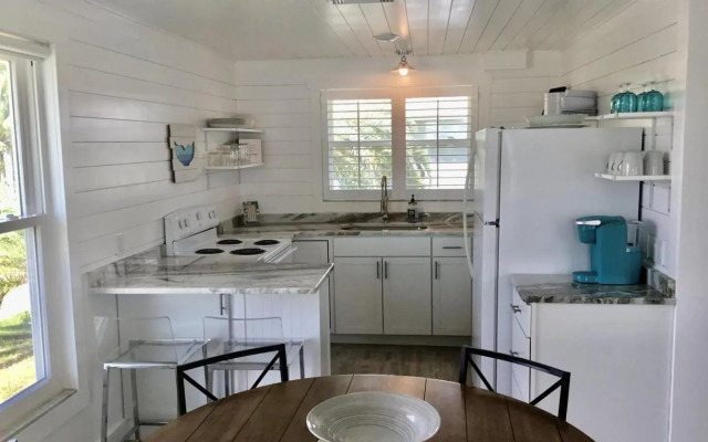 AMI Sand Dollar - 6403 B Holmes