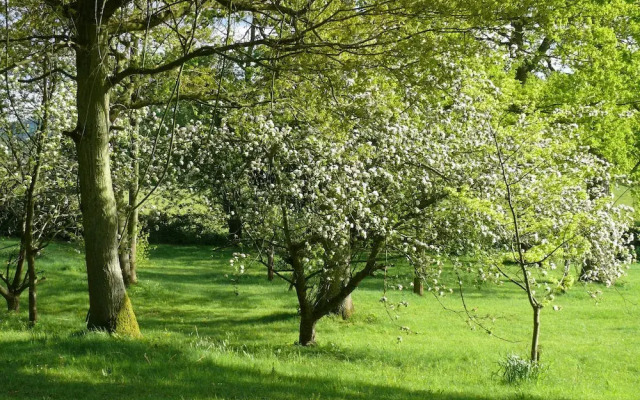 The Larches Ledbury Bed and Breakfast