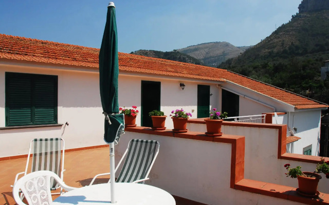 Old Farmhouse Set In A Citrus Grove