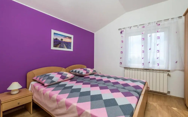 Amazing Home in Rukavac With Wifi and 2 Bedrooms