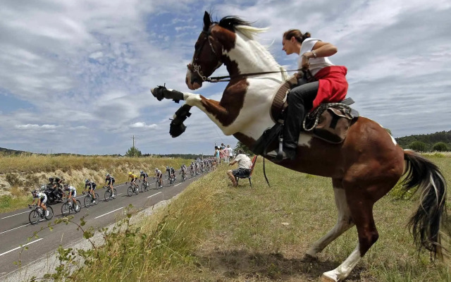 Halanus Hotel And Resort