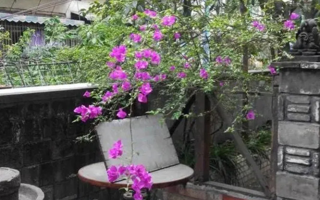 Lao Shu Ren Inn