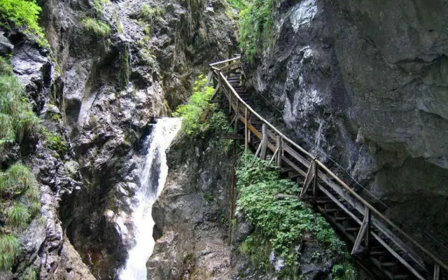 Jenbacherhof