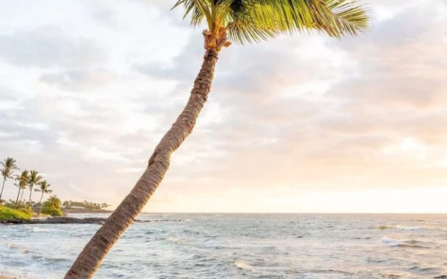 Sandy Toes Getaway in Kona