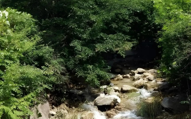 Pocheon Beverly Hill Pension