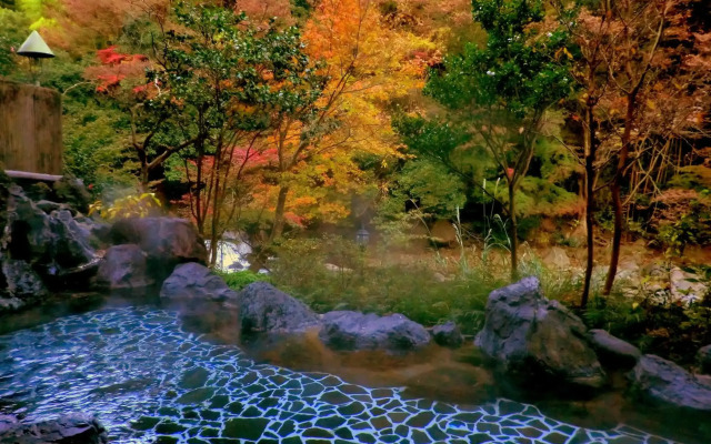 Hakone Shiunso