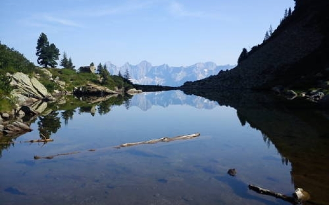 appartement-Reiteralm