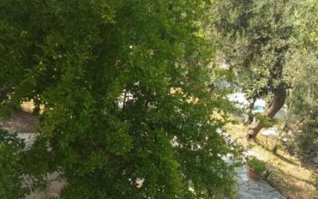 Villa Barbara Sea view 2