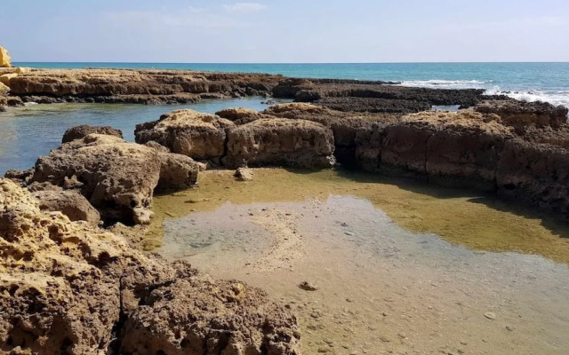Albufeira Sea View 25
