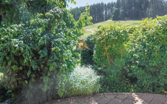 Nice Apartment in Medebach-düdinghausen With 1 Bedrooms and Wifi