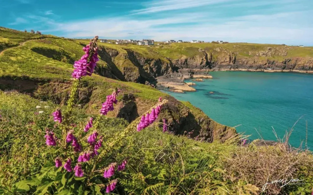 Cosy Shepherds Hut nr Kynance Cove