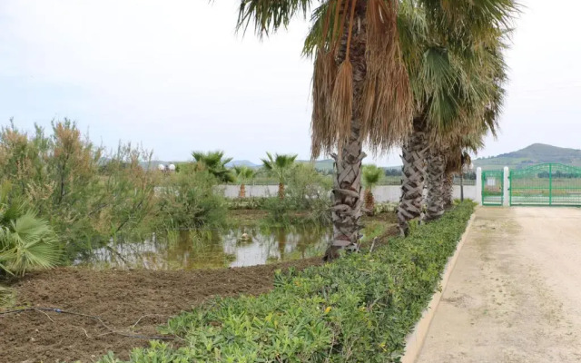 Villa Delle Palme Delfina