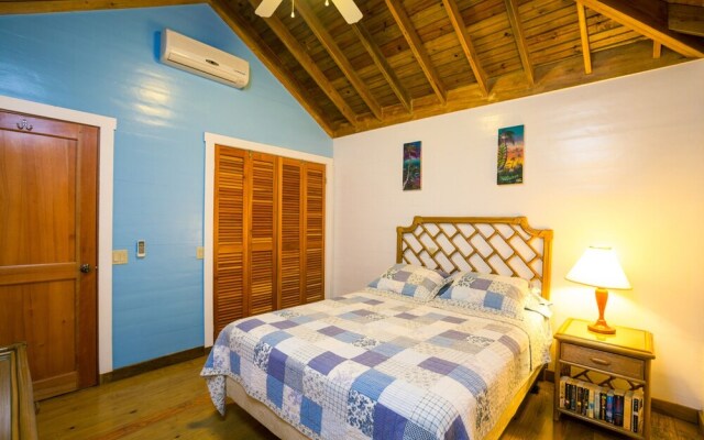 Lemon Tree House
